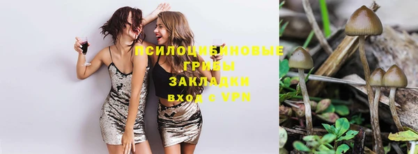 ешки Кукмор