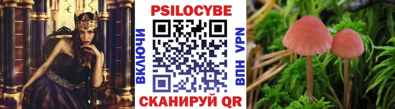 Галлюциногенные грибы прущие грибы магазин наркотиков omg ССЫЛКА Городище